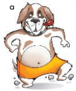 Задание рисунок 1