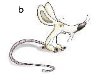 Задание рисунок 2